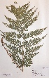  ( - H826300)  @11 [ ] Unspecified (default): All Rights Reserved  Unspecified Unspecified