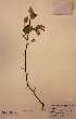 ( - H826348)  @11 [ ] Unspecified (default): All Rights Reserved  Unspecified Unspecified