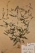  ( - KYM000949)  @11 [ ] Unspecified (default): All Rights Reserved  Unspecified Unspecified