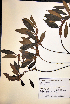  ( - VP-10b)  @11 [ ] No Rights Reserved (2014) Unspecified Columbus State University, GA