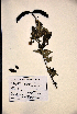  ( - VP-13a)  @11 [ ] No Rights Reserved (2014) Unspecified Columbus State University, GA