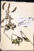  ( - VP-13b)  @11 [ ] No Rights Reserved (2014) Unspecified Columbus State University, GA