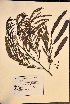  ( - VP-25b)  @11 [ ] No Rights Reserved (2014) Unspecified Columbus State University, GA