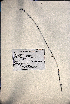  ( - VP-29b)  @11 [ ] No Rights Reserved (2014) Unspecified Columbus State University, GA