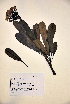  ( - VP-30a)  @11 [ ] No Rights Reserved (2014) Unspecified Columbus State University, GA