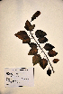  ( - VP-34b)  @11 [ ] No Rights Reserved (2014) Unspecified Columbus State University, GA