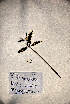  ( - VP-42a)  @11 [ ] No Rights Reserved (2014) Unspecified Columbus State University, GA