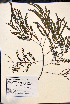  ( - VP-46a)  @11 [ ] No Rights Reserved (2014) Unspecified Columbus State University, GA