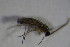  ( - DIP 03631)  @12 [ ] CreativeCommons - Attribution Non-Commercial Share-Alike (2015) Unspecified SNSB, Zoologische Staatssammlung Muenchen