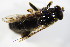  ( - DIP 02749)  @12 [ ] CreativeCommons - Attribution Non-Commercial Share-Alike (2015) Unspecified SNSB, Zoologische Staatssammlung Muenchen