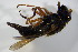  ( - DIP 02828)  @12 [ ] CreativeCommons - Attribution Non-Commercial Share-Alike (2015) Unspecified SNSB, Zoologische Staatssammlung Muenchen