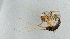  ( - NHMUK013266121)  @11 [ ] Unspecified (default): All Rights Reserved  Ben W Price Natural History Museum, London