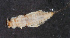  ( - NHMUK013268603)  @11 [ ] Unspecified (default): All Rights Reserved  Ben W Price Natural History Museum, London