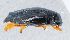  ( - NHMUK013269182)  @11 [ ] Unspecified (default): All Rights Reserved  Ben W Price Natural History Museum, London