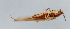  ( - NHMUK014420660)  @11 [ ] Unspecified (default): All Rights Reserved  Ben W Price Natural History Museum, London
