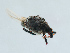  ( - NHMUK014421113)  @11 [ ] Unspecified (default): All Rights Reserved  Ben W Price Natural History Museum, London