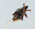 ( - NHMUK014421113)  @11 [ ] Unspecified (default): All Rights Reserved  Ben W Price Natural History Museum, London