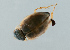  ( - NHMUK014421141)  @11 [ ] Unspecified (default): All Rights Reserved  Ben W Price Natural History Museum, London