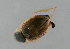  ( - NHMUK014421141)  @11 [ ] Unspecified (default): All Rights Reserved  Ben W Price Natural History Museum, London