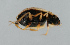  ( - NHMUK014421141)  @11 [ ] Unspecified (default): All Rights Reserved  Ben W Price Natural History Museum, London