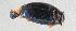  ( - NHMUK014421581)  @11 [ ] Unspecified (default): All Rights Reserved  Ben W Price Natural History Museum, London