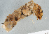  ( - NHMUK014422015)  @11 [ ] Unspecified (default): All Rights Reserved  Ben W Price Natural History Museum, London