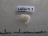  ( - LMBP1-003)  @11 [ ] Unspecified (default): All Rights Reserved  Unspecified Unspecified