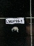  ( - LMBP26-001)  @11 [ ] Unspecified (default): All Rights Reserved  Unspecified Unspecified