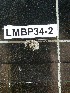  ( - LMBP34-002)  @11 [ ] Unspecified (default): All Rights Reserved  Unspecified Unspecified