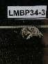  ( - LMBP34-003)  @11 [ ] Unspecified (default): All Rights Reserved  Unspecified Unspecified