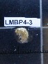  ( - LMBP4-003)  @11 [ ] Unspecified (default): All Rights Reserved  Unspecified Unspecified