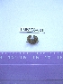  ( - LMBV26-001)  @13 [ ] Unspecified (default): All Rights Reserved  Unspecified Unspecified