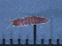  ( - LMBV28-001)  @11 [ ] Unspecified (default): All Rights Reserved  Unspecified Unspecified