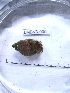  ( - LMBV3-005)  @12 [ ] Unspecified (default): All Rights Reserved  Unspecified Unspecified