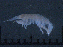  ( - LMBV31-001)  @11 [ ] Unspecified (default): All Rights Reserved  Unspecified Unspecified
