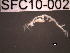  ( - SFC10-002)  @11 [ ] Unspecified (default): All Rights Reserved  Unspecified Unspecified