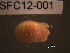  ( - SFC12-001)  @11 [ ] Unspecified (default): All Rights Reserved  Unspecified Unspecified