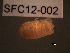  ( - SFC12-002)  @11 [ ] Unspecified (default): All Rights Reserved  Unspecified Unspecified