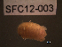  ( - SFC12-003)  @11 [ ] Unspecified (default): All Rights Reserved  Unspecified Unspecified