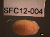  ( - SFC12-004)  @11 [ ] Unspecified (default): All Rights Reserved  Unspecified Unspecified