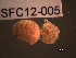  ( - SFC12-005)  @11 [ ] Unspecified (default): All Rights Reserved  Unspecified Unspecified