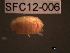  ( - SFC12-006)  @11 [ ] Unspecified (default): All Rights Reserved  Unspecified Unspecified
