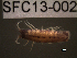  ( - SFC13-002)  @11 [ ] Unspecified (default): All Rights Reserved  Unspecified Unspecified