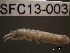  ( - SFC13-003)  @11 [ ] Unspecified (default): All Rights Reserved  Unspecified Unspecified