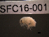  ( - SFC16-001)  @11 [ ] Unspecified (default): All Rights Reserved  Unspecified Unspecified