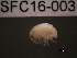  ( - SFC16-003)  @11 [ ] Unspecified (default): All Rights Reserved  Unspecified Unspecified