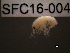  ( - SFC16-004)  @11 [ ] Unspecified (default): All Rights Reserved  Unspecified Unspecified