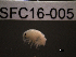  ( - SFC16-005)  @11 [ ] Unspecified (default): All Rights Reserved  Unspecified Unspecified