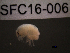  ( - SFC16-006)  @11 [ ] Unspecified (default): All Rights Reserved  Unspecified Unspecified