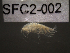  ( - SFC2-002)  @11 [ ] Unspecified (default): All Rights Reserved  Unspecified Unspecified
